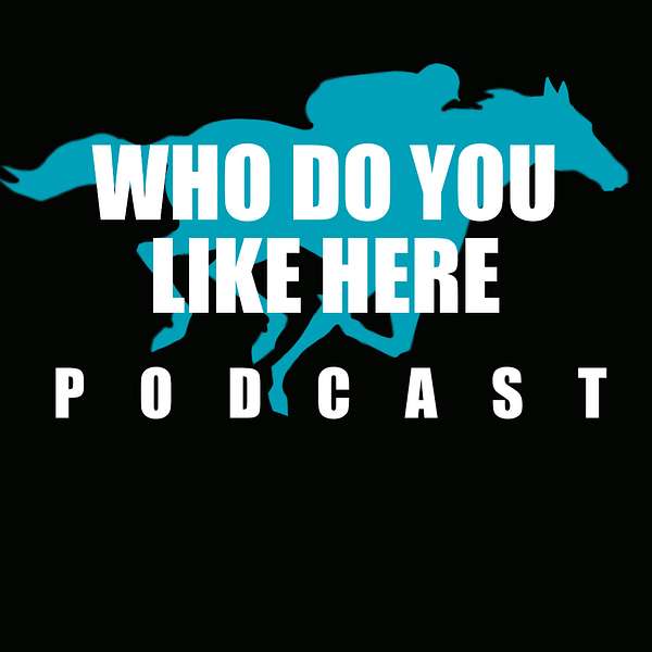 Who Do You Like Here? The Best Horse Racing Podcast Podcast Artwork Image
