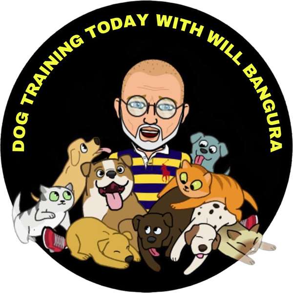 Dog Training Today with Will Bangura for Pet Parents, Kids & Family, Pets and Animals, and Dog Training Professionals. This is a Education & How To Dog Training Podcast.  Podcast Artwork Image