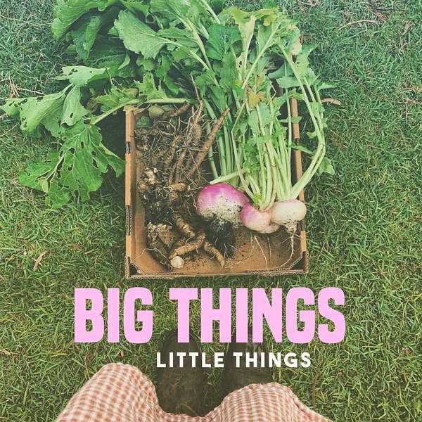 Big things. Little things.  Podcast Artwork Image