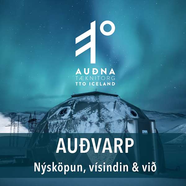 Auðvarp - Nýsköpun, Vísindin og við Podcast Artwork Image