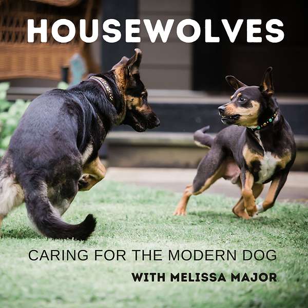 Housewolves Podcast Artwork Image