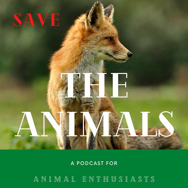 Saving Animals Podcast Podcast Artwork Image