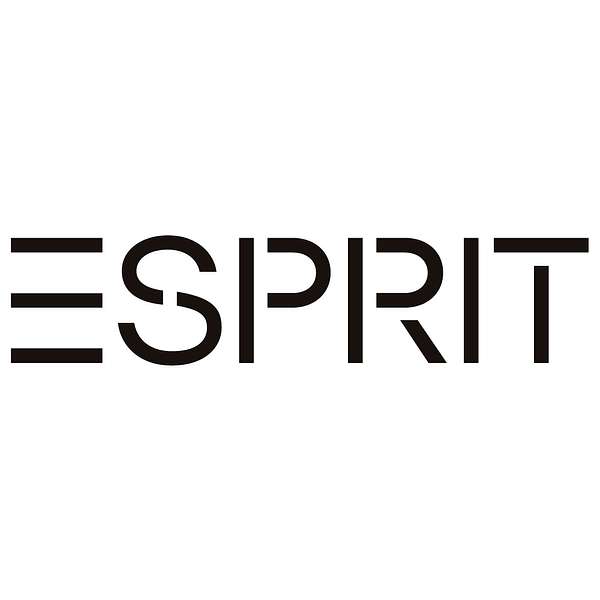 Podcast ESPRIT Podcast Artwork Image