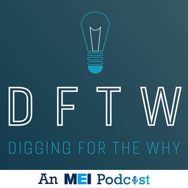 Digging for the Why Podcast Artwork Image