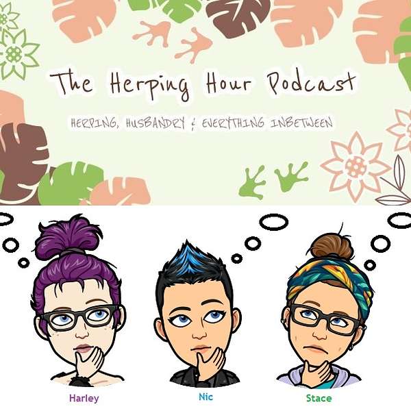 The Herping Hour Podcast Podcast Artwork Image