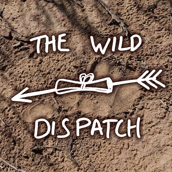 The Wild Dispatch Podcast Artwork Image