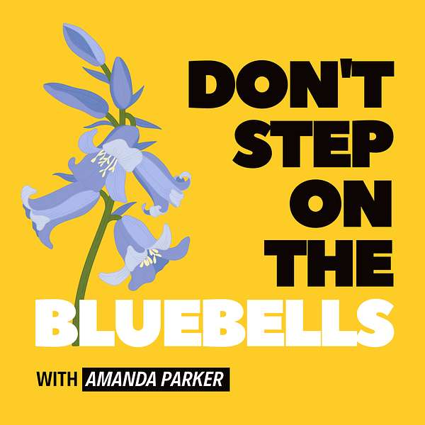 Artwork for Don't Step on the Bluebells