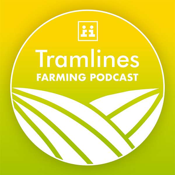 Tramlines Podcast Artwork Image