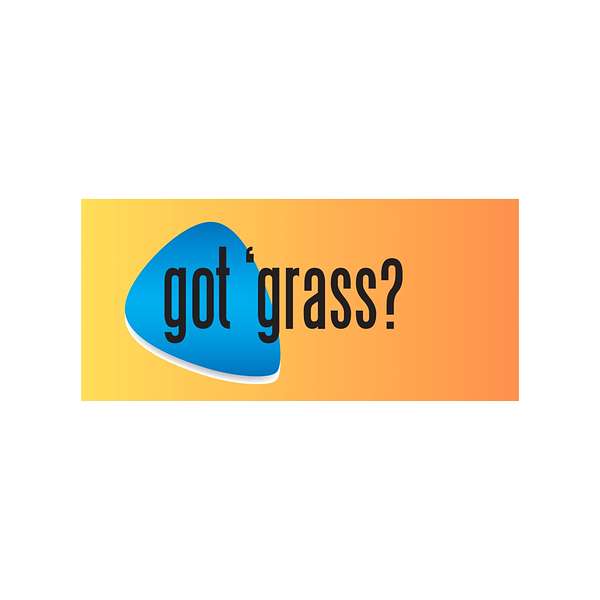 Bluegrass podcast, Got 'Grass? We interview the leaders in bluegrass Podcast Artwork Image