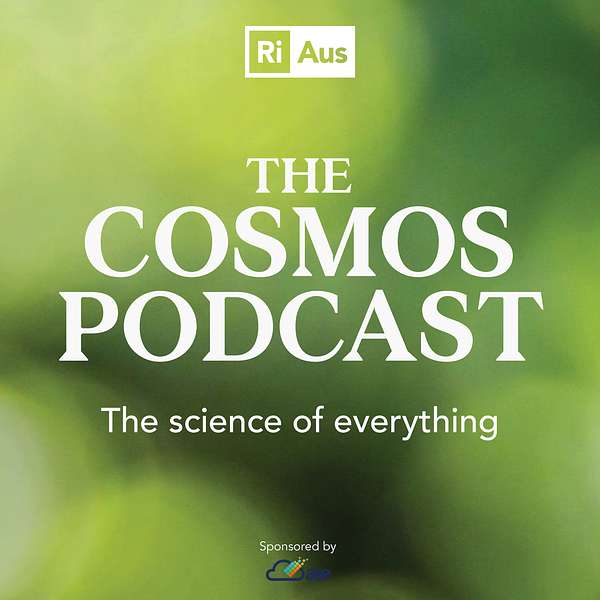 The Cosmos Podcast Podcast Artwork Image