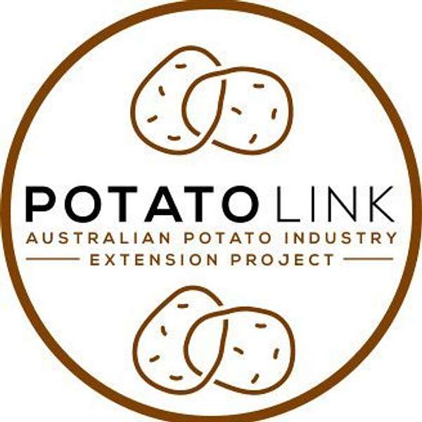 PotatoLink Podcast Artwork Image