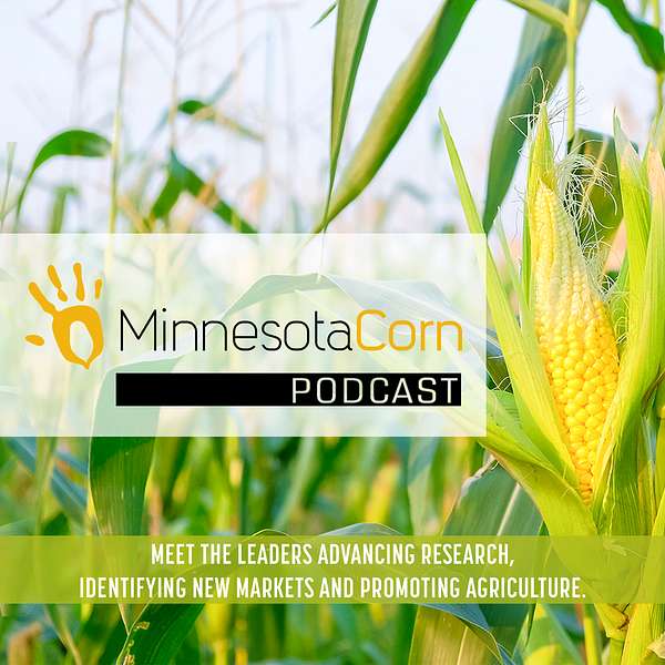 The Minnesota Corn Podcast Podcast Artwork Image