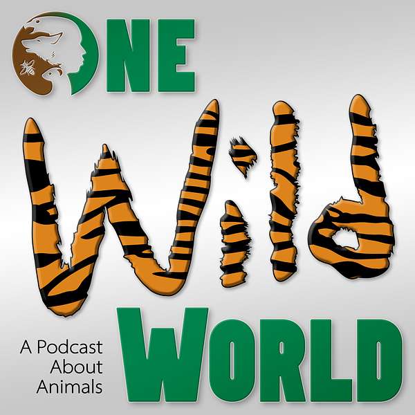 One Wild World: A Podcast About Animals Podcast Artwork Image