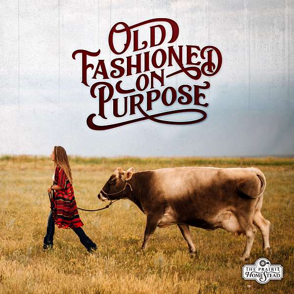Old Fashioned On Purpose Podcast Artwork Image