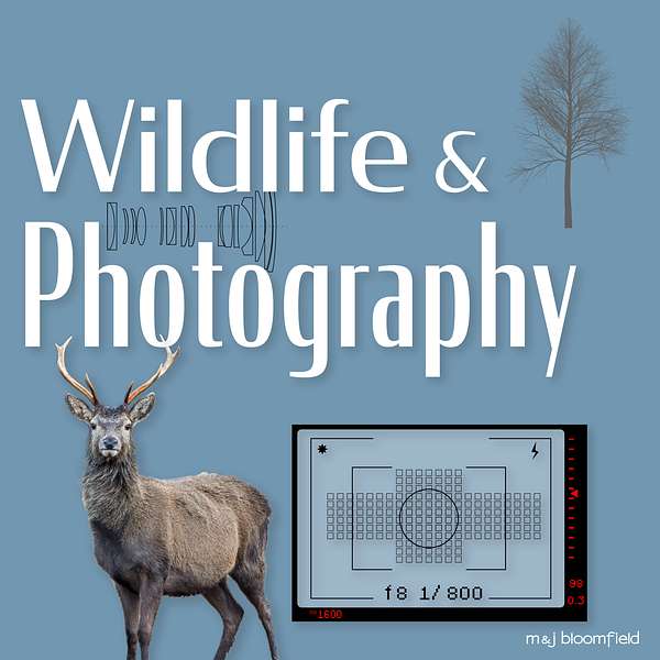 Wildlife and Photography Podcast Artwork Image