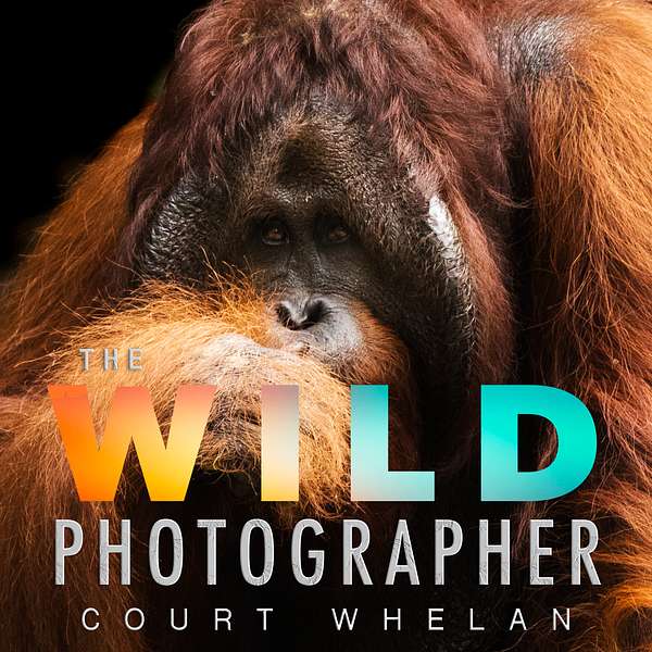 The Wild Photographer Podcast Artwork Image