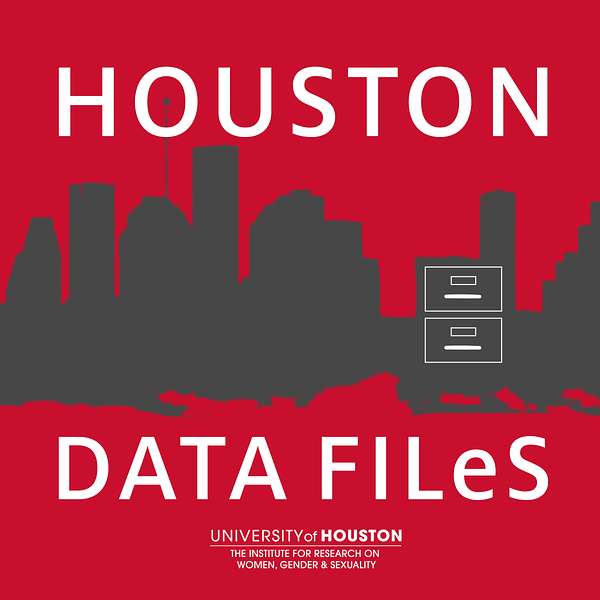 Houston Data Files Podcast Artwork Image