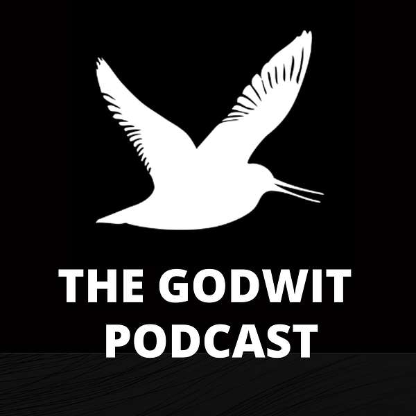 The Godwit Podcast Podcast Artwork Image
