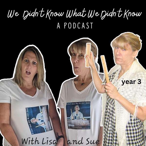 We Didn't Know What We Didn't Know- Stories of Teaching Over Three Decades Podcast Artwork Image