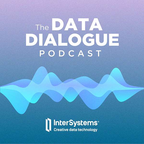 The Data Dialogue Podcast Artwork Image
