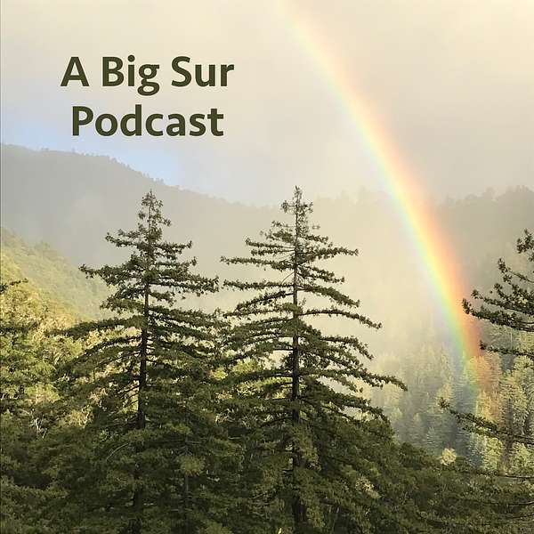 A Big Sur Podcast Podcast Artwork Image