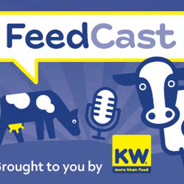 KW FeedCast Podcast Artwork Image