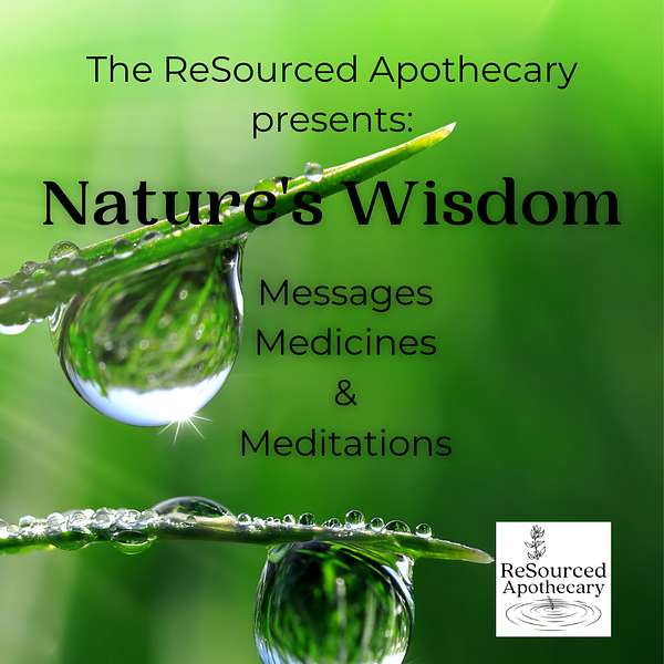 Nature's Wisdom: Messages, Medicines & Meditations from ReSourced Apothecary Podcast Artwork Image