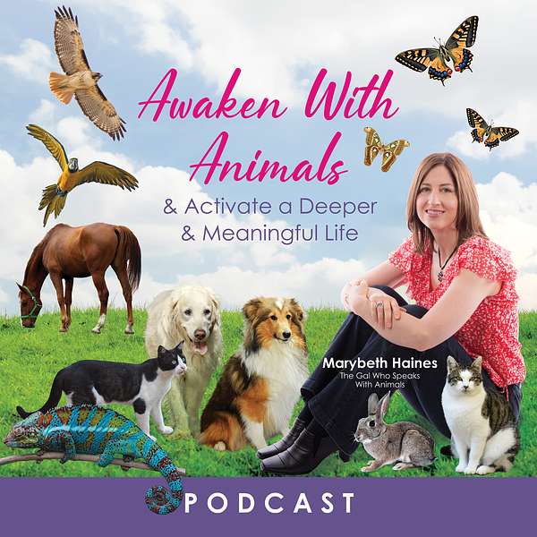 Awaken With Animals Podcast Artwork Image
