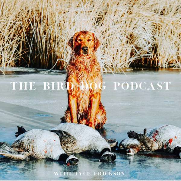The Bird Dog Podcast Podcast Artwork Image