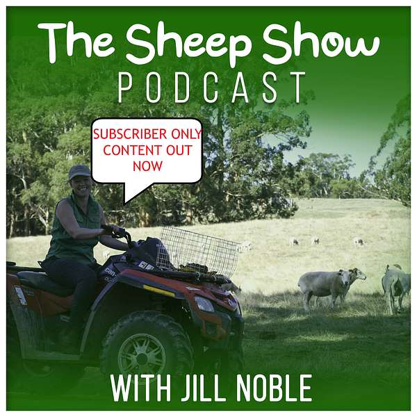 The Sheep Show podcast Podcast Artwork Image
