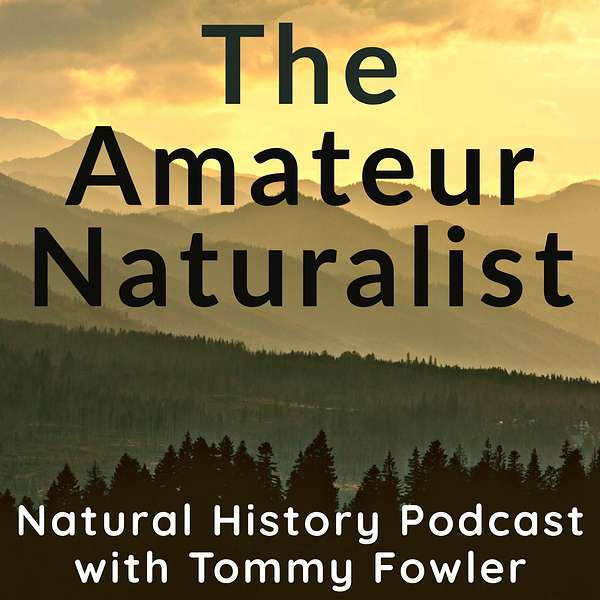The Amateur Naturalist  Podcast Artwork Image
