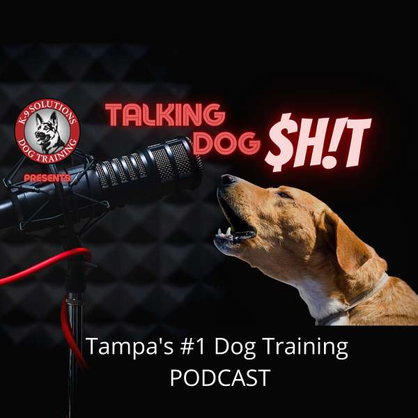 Talking Dog Shit Podcast Artwork Image