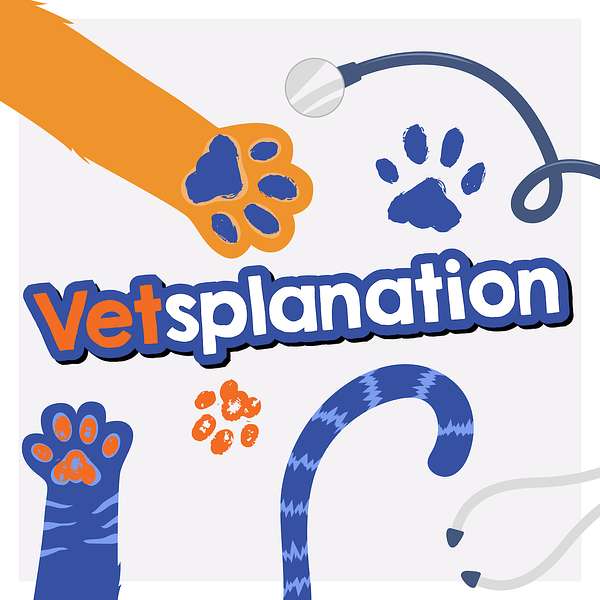 Vetsplanation: Pet Health Simplified  Podcast Artwork Image