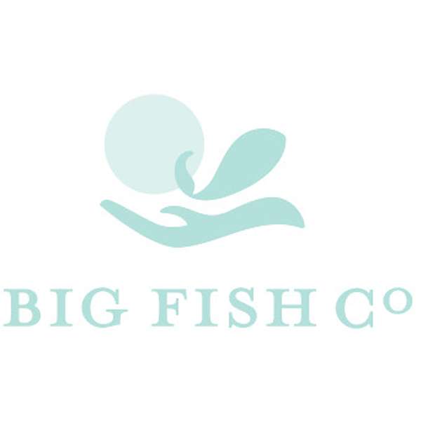 Big Fish Co's Podcast Podcast Artwork Image