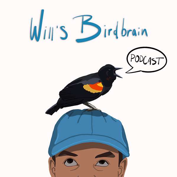 Will's Birdbrain Podcast Artwork Image