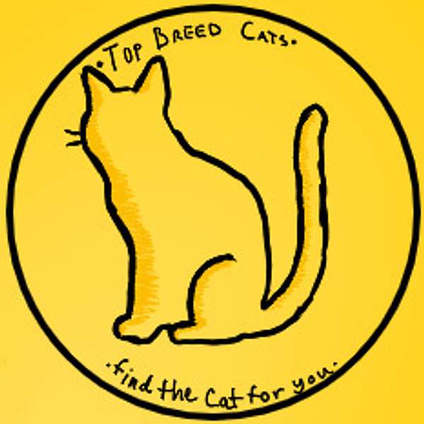 Top Breed cats Podcast Artwork Image