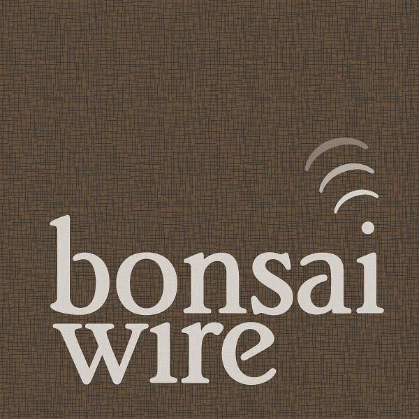 Bonsai Wire Podcast Artwork Image