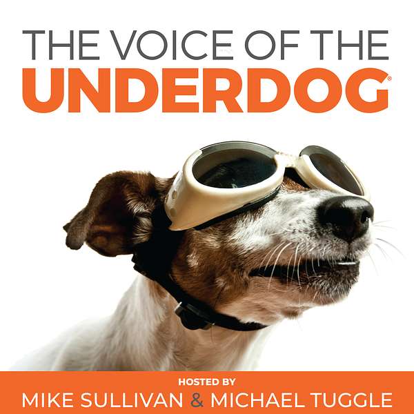 The Voice Of The Underdog Podcast Artwork Image