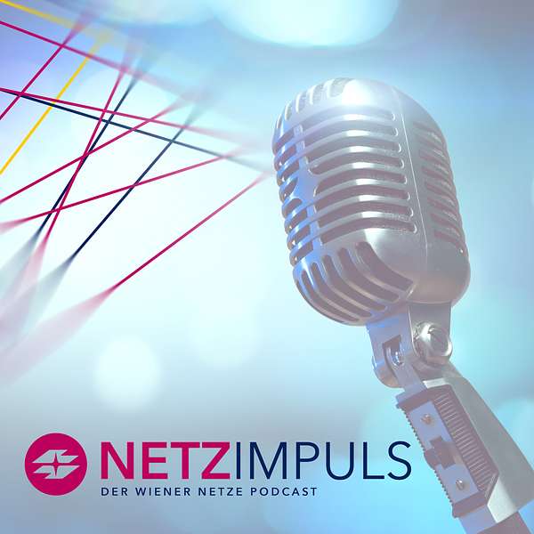 NetzImpuls Podcast Artwork Image