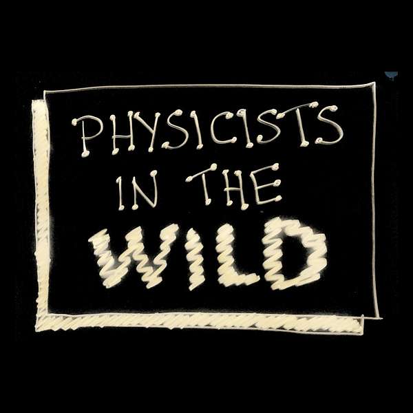 Physicists in the Wild Podcast Artwork Image
