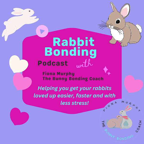 Rabbit Bonding Podcast with Fiona Murphy, The Bunny Bonding Coach  Podcast Artwork Image