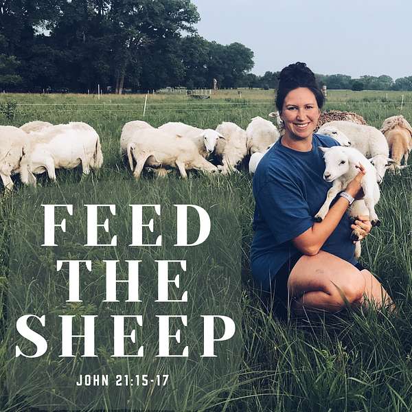 Feed The Sheep Podcast Artwork Image