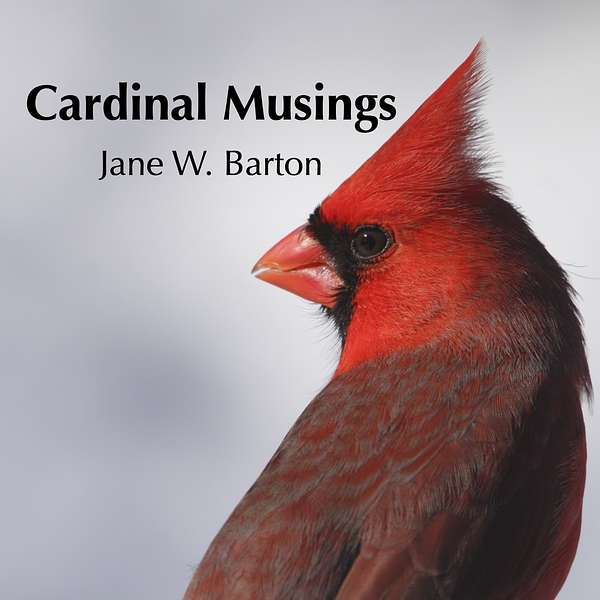 Cardinal Musings with Jane Barton Podcast Artwork Image