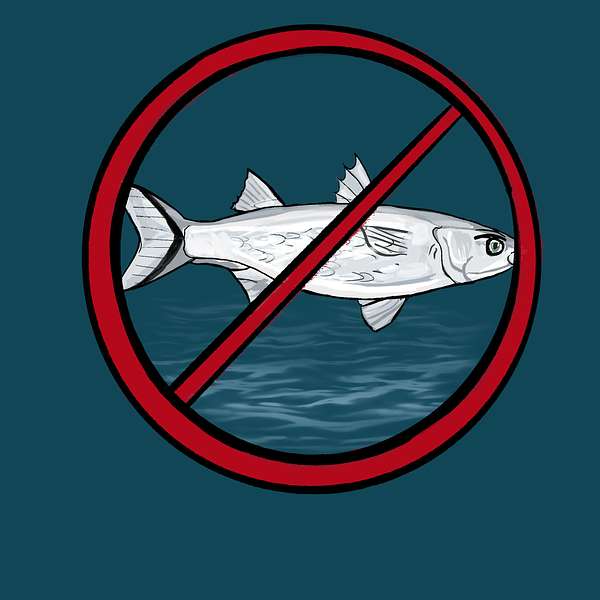 The No Wet Fish Podcast Podcast Artwork Image