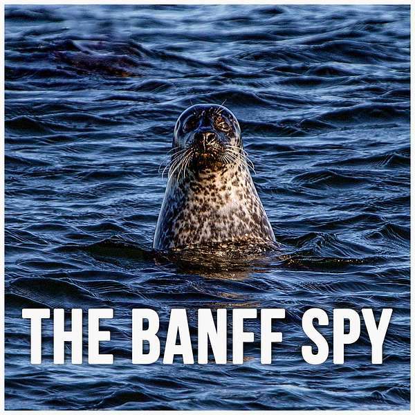 The Banff Spy Podcast Podcast Artwork Image