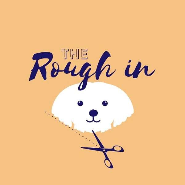 The Rough In Podcast Artwork Image