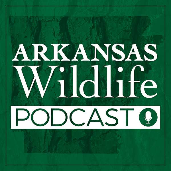 Arkansas Wildlife Podcast Artwork Image
