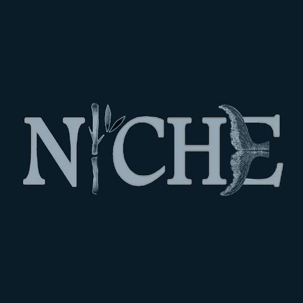 Niche Podcast Artwork Image