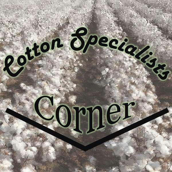 Cotton Specialists Corner Podcast Artwork Image