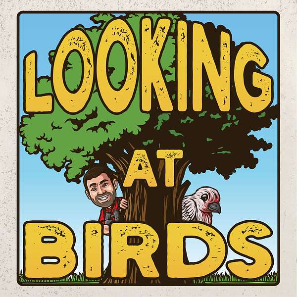 Looking at Birds: A Birding Podcast Podcast Artwork Image